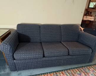 Sleeper Sofa