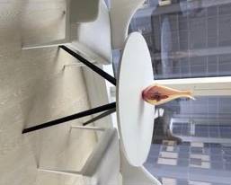 Lazzoni Table and Chairs