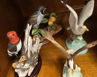 birds