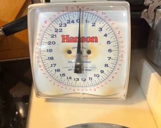 Hanson scale