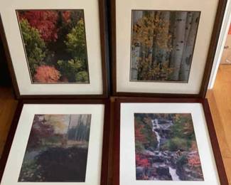 Framed Nature Photography Prints