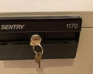 Sentry 1170 Safe 