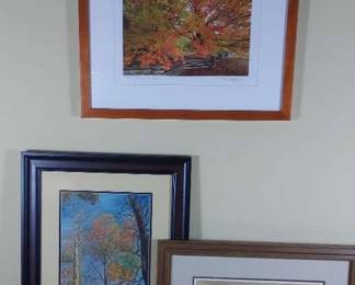 Autumn Landscape Framed Prints 