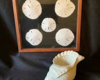 Handcrafted Sand Dollar Artwork And Footed Conch Bowl
