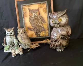 Owls A Plenty