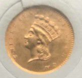 Gold Princess Coin