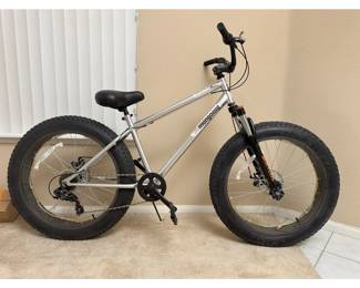 bike
