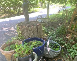 Countless Planters and pots