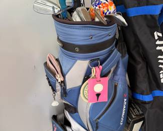 Women’s golf clubs