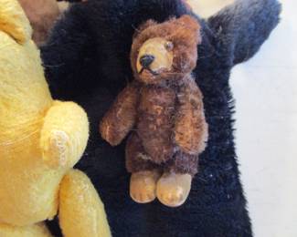Steiff rare mini Teddy