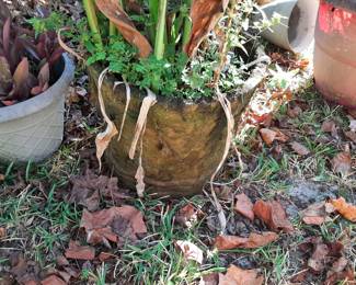 #52  Concrete Crab Pot w/Plant   $45