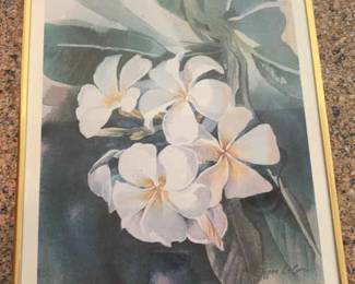 KAS004-Framed Print “Plumeria” by Diana La Com
