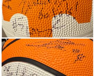 Signed University of Tennessee Basketball  - Bruce Pearl