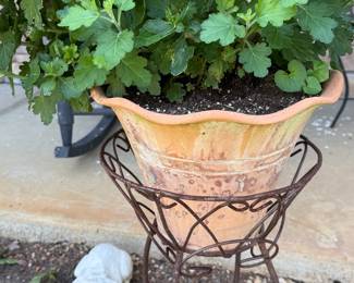 Plant with Stand
