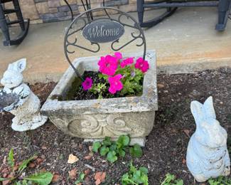 Yard bunnies and Flower Pot