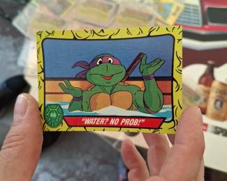 Turtles on a half shell