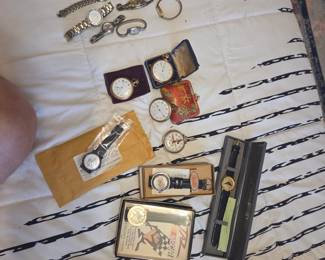 Vintage and Antique Collectible watches, Ladies watches and Pocket watches.  Collectibles  (Kodak 1992 Olympics, Taz Nascar by Valdawn 1994, B2 Bomber,  Disneyland 35th Anniversary, Pepsi). Ladies watches (Armitron crystal 2-tone, Merona stainless steel, Citizen  crystal with mother of pearl face, Timex, Pulsar 2-tone, Seiko). Pocket Watches (Elgin x 2, Elgin on chain, Mickey Mouse). -- unknown if they are in active working condition