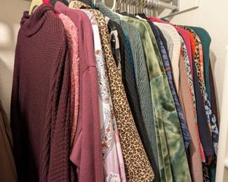 Lot #215 - Women's Size L Long Sleeved Tops Shirts Sweaters 41 Items