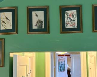 Vintage Aviary Prints 