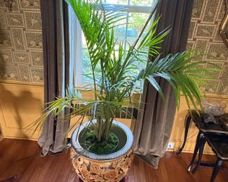 Asian Planter & Indoor Palm 
