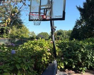 Spalding Basketball Hoop 