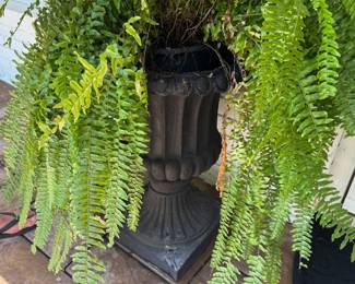 Large urn with fern