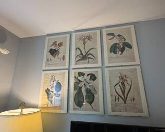 collection of Botanical prints