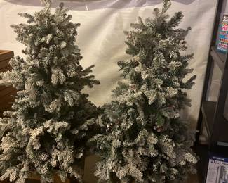 Christmas trees