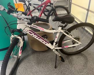 Ladies Schwinn