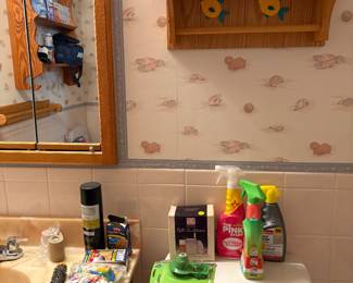 Cleaning supplies, Shelf, bathroom care items