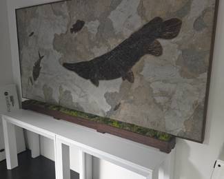 A colossal fossil specimen to include a large Gar Fish and many other fossils