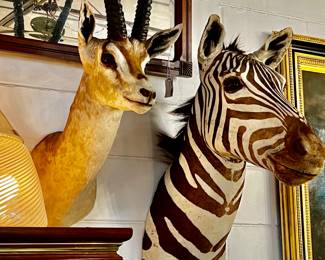 Vintage big game mounts