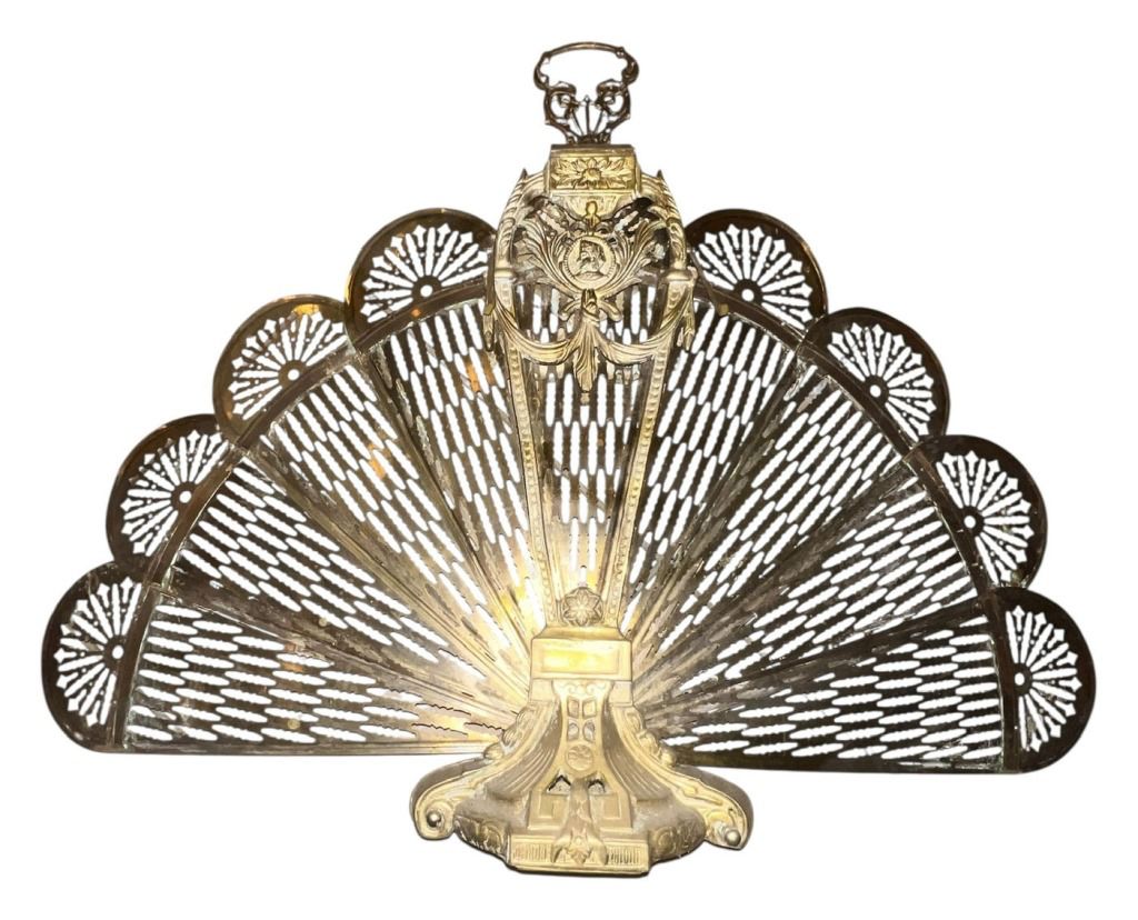 Beautifully Ornate Fireplace Screen