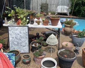 Misc plants and planters