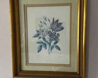 Botanical Illustration of Roses and other flowers