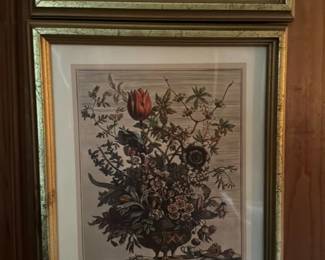 Antique Botanical Prints