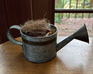 Galvanized Metal Watering Can Planter