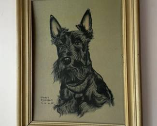 Scottish Terrier Portrait