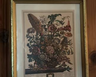 Antique Botanical Prints