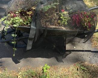 Vintage Garden Cart with Plants