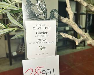 Olive Tree