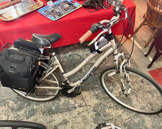 Schwinn Bike 