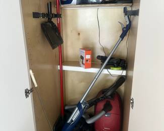 Miele vacuum