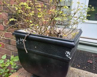 Outdoor Planter