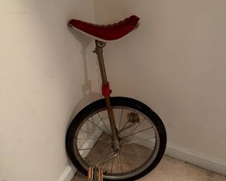 Unicycle