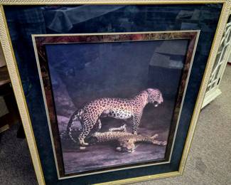 Framed animal artwork