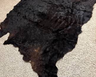 Authentic bear skin rug