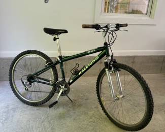 Raleigh mountain bike, 1990s