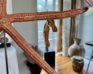 Giuliano Tincani starfish acquired from Primitives in Chicago 28"h  including base