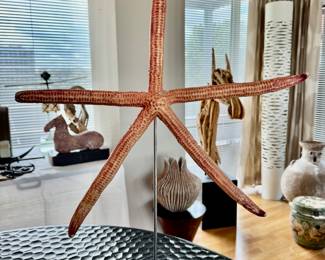 Giuliano Tincani starfish acquired from Primitives in Chicago 28"h  including base
